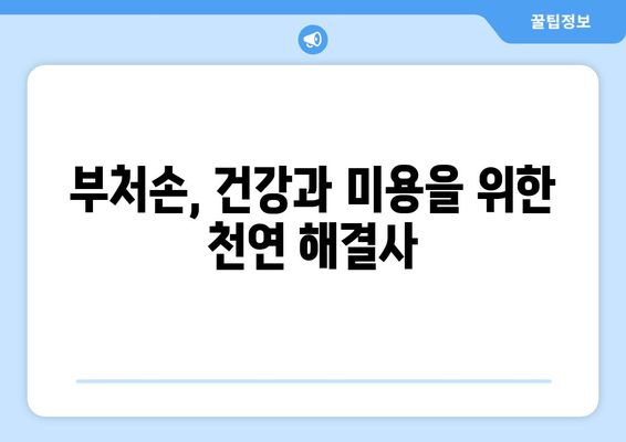 부처손 효능| 건강과 미용에 좋은 7가지 놀라운 효과 | 천연 약초, 민간요법, 부처손 효능 및 부작용