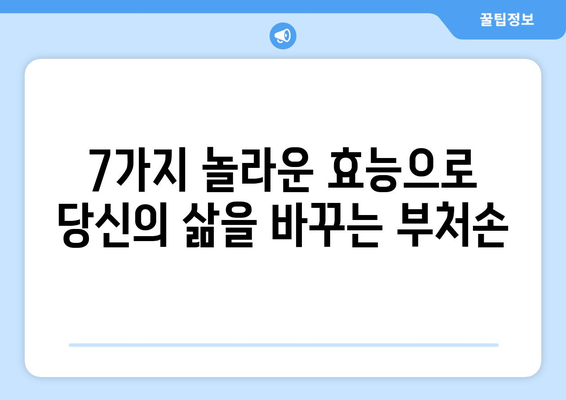 부처손 효능| 건강과 미용에 좋은 7가지 놀라운 효과 | 천연 약초, 민간요법, 부처손 효능 및 부작용