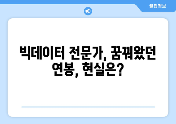 빅데이터 전문가 연봉| 현실적인 수입과 전망 | 빅데이터, 데이터 분석, 연봉 정보, 취업 전망