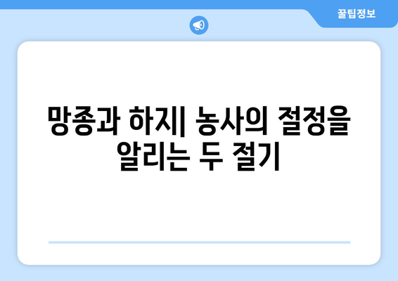 24절기 망종과 하지| 농사와 풍습, 그리고 의미 | 24절기, 망종, 하지, 농업, 풍습, 의미, 기원