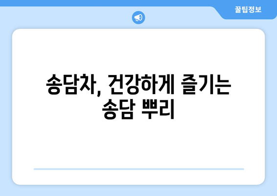 송담 뿌리 효능| 건강 지키는 자연의 선물 | 면역력, 항암 효과, 혈액순환, 송담차, 송담 효능