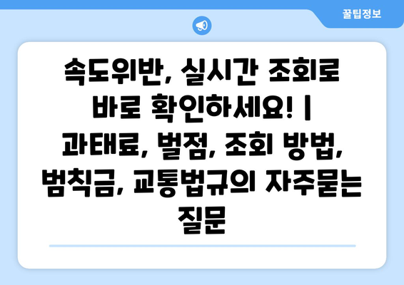 속도위반, 실시간 조회로 바로 확인하세요! | 과태료, 벌점, 조회 방법, 범칙금, 교통법규