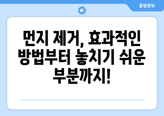 먼지다듬이 퇴치 완벽 가이드| 집안 곳곳 먼지 제거하는 꿀팁 | 먼지 제거, 청소 팁, 먼지다듬이, 집 청소