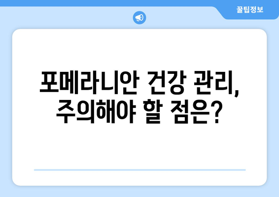 포메라니안 입양부터 건강 관리까지| 똑똑한 견주를 위한 완벽 가이드 | 포메라니안, 분양, 훈련, 건강, 관리, 팁