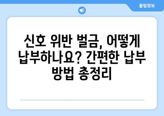 신호 위반 벌금| 지역별 금액 & 납부 방법 총정리 | 과태료, 면허 정지, 벌점 정보