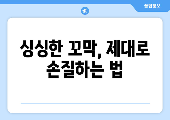 꼬막 삶는 법| 싱싱하고 맛있게 즐기는 완벽 가이드 | 꼬막 손질, 삶는 시간, 레시피