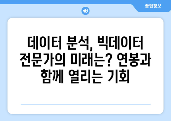 빅데이터 전문가 연봉| 현실적인 수입과 전망 | 빅데이터, 데이터 분석, 연봉 정보, 취업 전망