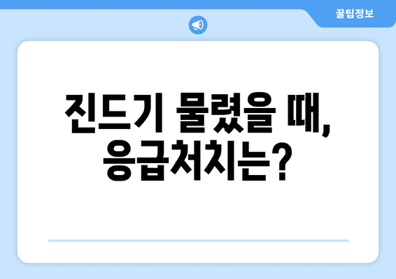 살인진드기 물린 자국, 이런 증상이 나타난다면? | 진드기 물림 증상, 감염 위험, 예방법