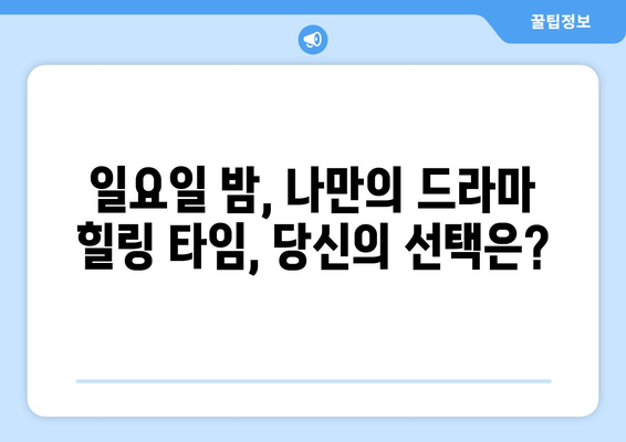 일요일 밤, 놓치면 후회할 드라마 추천 | 주말 드라마, 일요일 저녁, 시청률, 인기 드라마