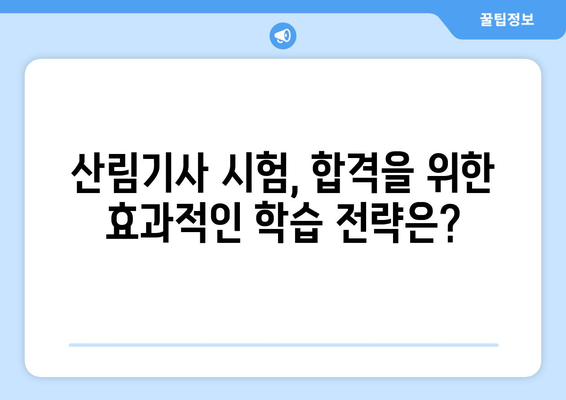 산림기사 시험 응시 자격 완벽 가이드 | 자격 조건, 시험 정보, 준비 팁