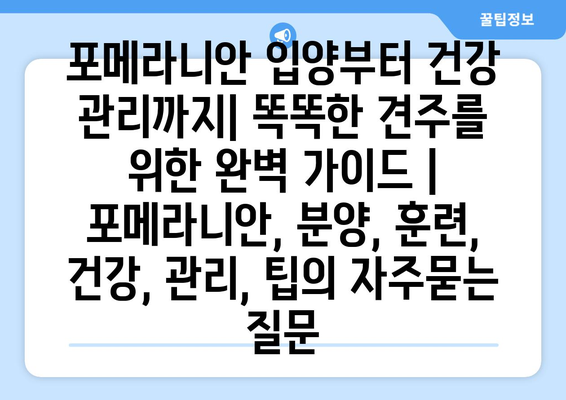 포메라니안 입양부터 건강 관리까지| 똑똑한 견주를 위한 완벽 가이드 | 포메라니안, 분양, 훈련, 건강, 관리, 팁