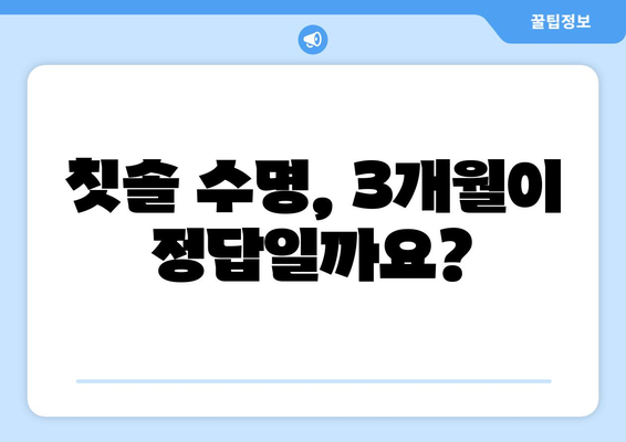 칫솔 교체 시기, 몇 개월이 적당할까요? | 칫솔 관리, 구강 건강, 교체 주기