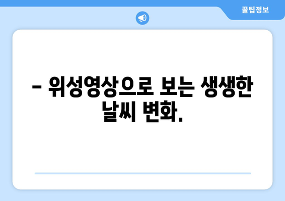 실시간 날씨 영상으로 지금 바로 확인하세요! | 전국 날씨, 기온, 미세먼지, 위성영상