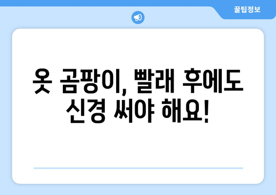 옷에 핀 곰팡이 제거하는 꿀팁 5가지 | 곰팡이 제거, 옷 세탁, 옷 관리