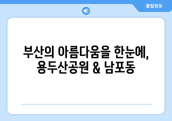 부산 시티투어 코스 추천| 놓치면 후회할 핵심 코스 5곳 | 부산 여행, 관광, 가볼 만한 곳, 필수 코스