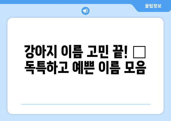 🐶 나만의 센스 넘치는 강아지 이름 찾기| 100개의 독특하고 예쁜 이름 추천 | 강아지 이름, 애견 이름, 개 이름, 댕댕이 이름