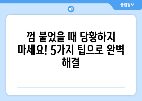 머리카락에서 껌 제거하는 꿀팁 5가지 | 껌 제거, 머리카락, 껌 제거 방법, 껌 붙었을 때