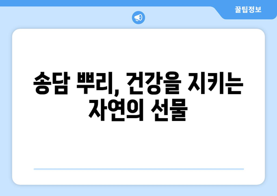 송담 뿌리 효능| 건강 지키는 자연의 선물 | 면역력, 항암 효과, 혈액순환, 송담차, 송담 효능