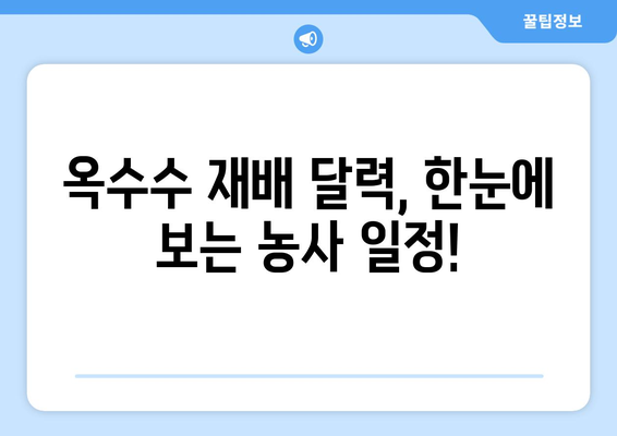 옥수수 심는 최적의 시기 & 지역별 재배 가이드 | 옥수수 농사, 재배 시기, 지역별 특징