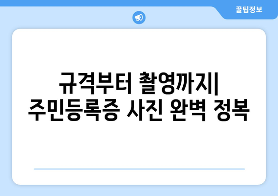 주민등록증 사진 규격 완벽 가이드| 찍는 방법부터 규정까지 | 사진 규격, 주민등록증 발급, 사진 촬영 팁