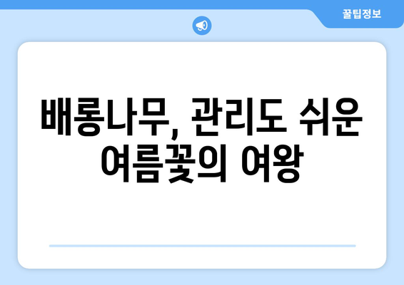 배롱나무의 매력, 10가지 특징으로 알아보기 | 꽃, 나무, 식물, 가드닝, 정원, 여름꽃