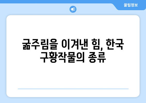 굶주림을 이겨낸 지혜! 한국의 구황작물 종류와 효능 알아보기 | 구황식물, 옛 조상들의 슬기, 식량난, 역사