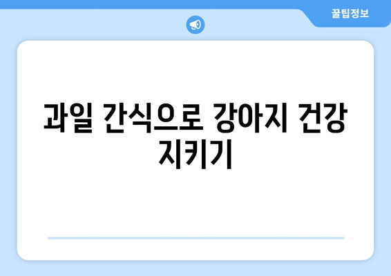 강아지가 안전하게 먹을 수 있는 과일 10가지 | 반려견, 간식, 건강