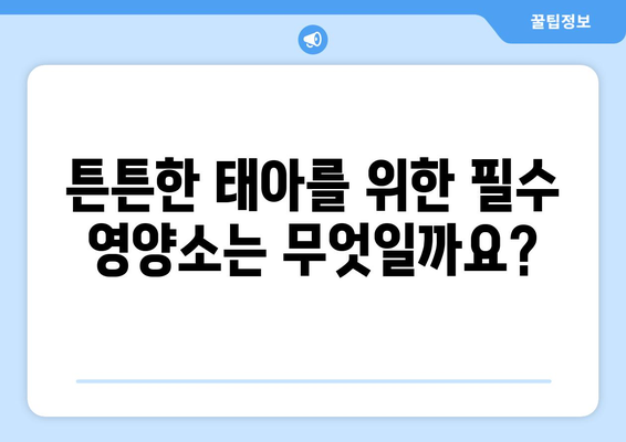 임산부를 위한 영양 가득한 음식 가이드 | 임신, 건강, 식단, 태아, 영양소