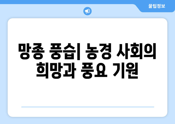 24절기 망종과 하지| 농사와 풍습, 그리고 의미 | 24절기, 망종, 하지, 농업, 풍습, 의미, 기원