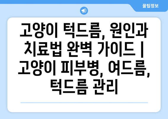 고양이 턱드름, 원인과 치료법 완벽 가이드 | 고양이 피부병, 여드름, 턱드름 관리