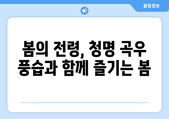 24절기 청명 곡우| 봄의 기운 가득한 계절 풍경과 생활 속 지혜 | 봄, 자연, 절기, 풍습, 건강