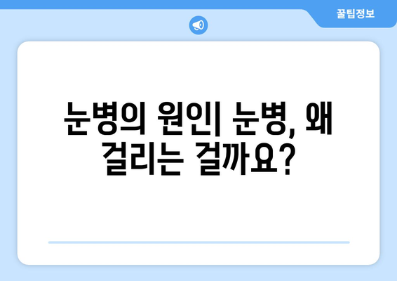 눈병 종류| 증상별 완벽 가이드 | 눈병, 원인, 치료, 예방