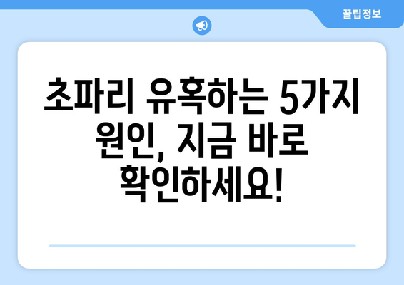 초파리 퇴치, 이제 그만! | 집에서 바로 해볼 수 있는 효과적인 5가지 방법