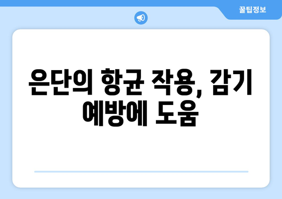 은단의 놀라운 효능 7가지| 건강 관리에 도움이 되는 이유 | 은단, 효능, 건강, 약효, 소화, 숙취, 구토