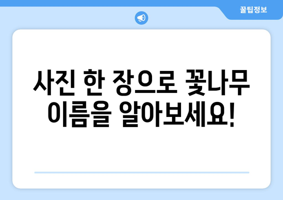 꽃나무 이름 찾기| 사진으로 쉽게 찾는 방법 | 식물, 꽃, 식별, 인공지능