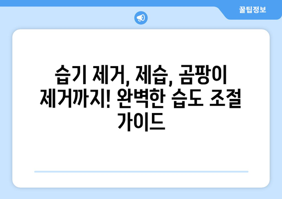 습기 제거 완벽 가이드| 집안 곳곳 습기 잡는 10가지 방법 | 습기 제거, 제습, 곰팡이 제거, 습도 조절