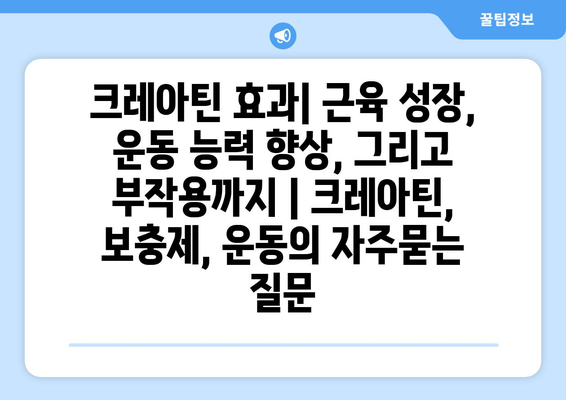 크레아틴 효과| 근육 성장, 운동 능력 향상, 그리고 부작용까지 | 크레아틴, 보충제, 운동