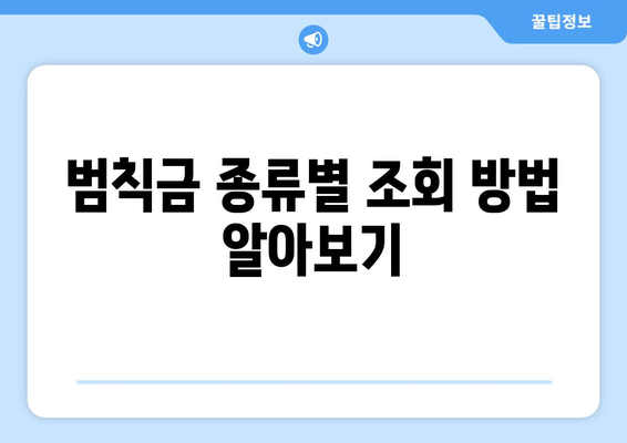 내 차량 범칙금, 간편하게 조회하세요! | 범칙금 조회, 과태료, 납부 방법, 조회 사이트