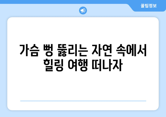 수능 끝나고 떠나기 좋은 국내 여행지 추천 | 수능 여행, 힐링 여행, 국내 여행지 추천, 가볼만한 곳