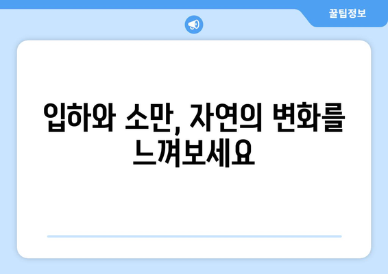 24절기 입하와 소만| 뜨거워지는 계절, 건강 관리와 풍년 기원 | 24절기, 입하, 소만, 건강, 농사, 풍습, 전통