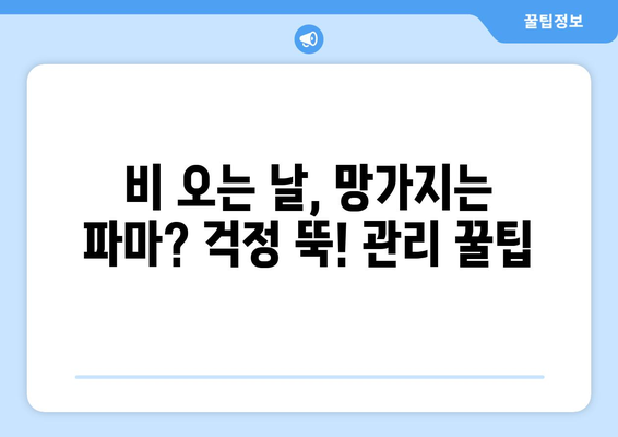 비 오는 날에도 끄떡없이! 빗속 파마 스타일링 꿀팁 | 비 오는 날, 파마, 스타일링, 헤어 관리