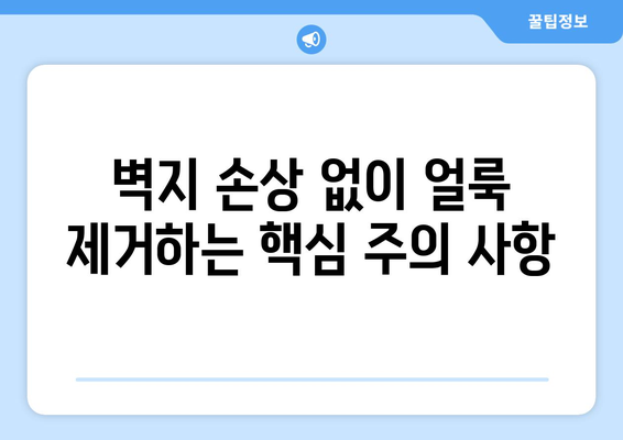 벽지 얼룩 제거 완벽 가이드| 종류별 제거 방법 & 주의 사항 | 벽지 얼룩, 얼룩 제거, 벽지 관리, 청소 팁