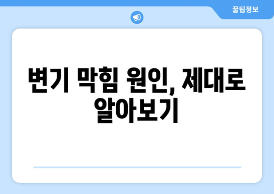 화장실 변기 막혔을 때 당황하지 마세요! 뚫는 방법 5가지 | 변기 막힘 해결, 막힌 변기 뚫는법, 변기 막힘 원인