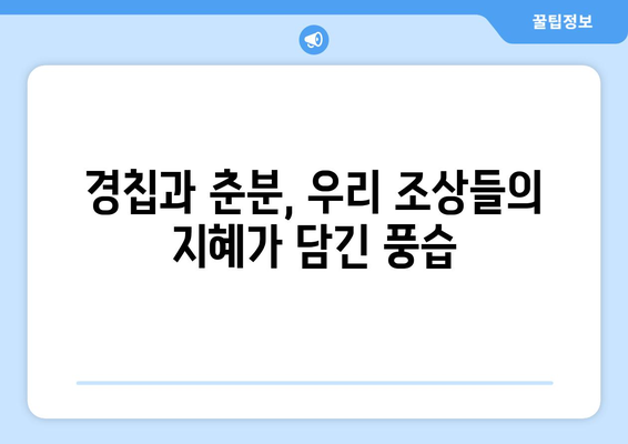 24절기 경칩과 춘분| 봄맞이 자연 변화와 풍습 | 봄, 생명, 기온, 민속, 절기