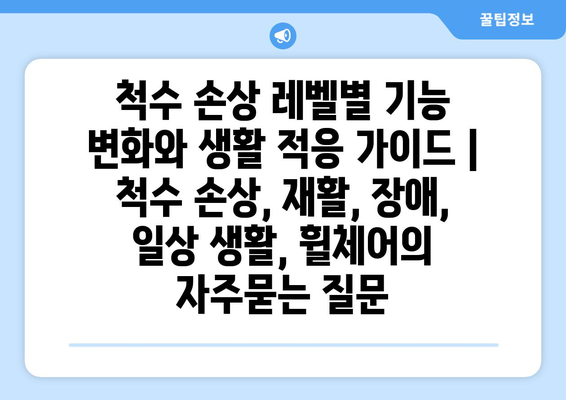 척수 손상 레벨별 기능 변화와 생활 적응 가이드 | 척수 손상, 재활, 장애, 일상 생활, 휠체어