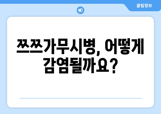 쯔쯔가무시병 증상 완벽 가이드 | 감염, 초기 증상, 치료, 예방