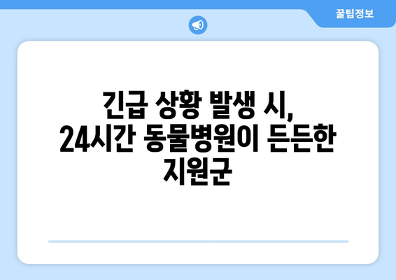 추석 연휴에도 걱정없이! 24시간 운영하는 동물병원 찾기 | 추석, 연휴, 응급, 동물병원, 24시간, 진료