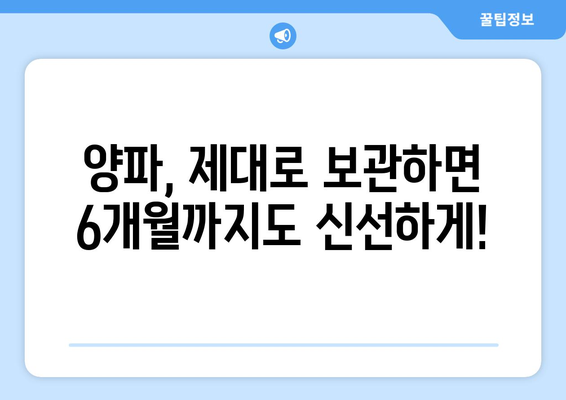 양파 오래 보관하는 최고의 방법| 신선함 유지하는 꿀팁 대공개 | 양파 보관, 신선도 유지, 보관법, 팁, 요리