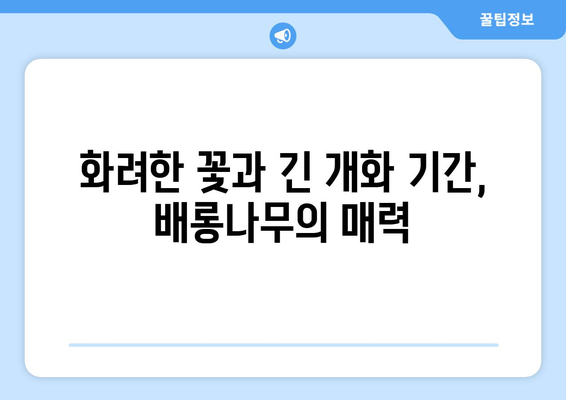 배롱나무의 매력, 10가지 특징으로 알아보기 | 꽃, 나무, 식물, 가드닝, 정원, 여름꽃