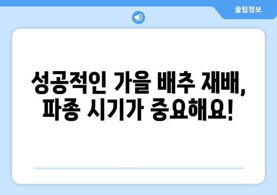 가을 배추 파종, 언제 하는 게 좋을까요? | 지역별 파종 시기 & 성공적인 재배 가이드